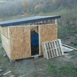 shed-with-walls.jpg