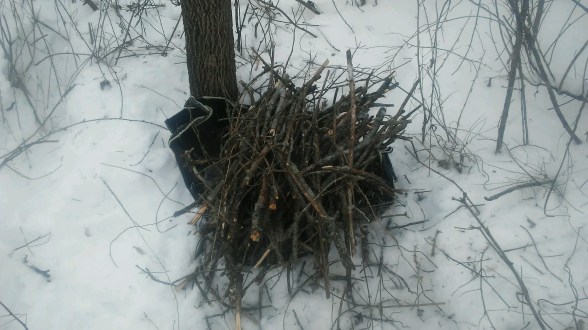 Kindling picture 1